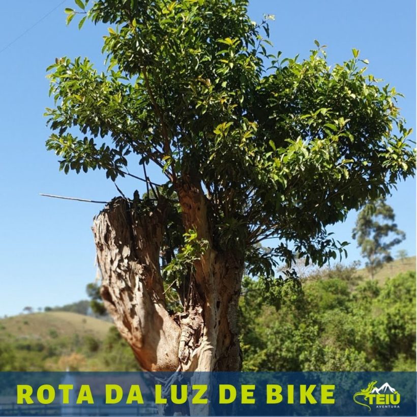 Rota da Luz de bike